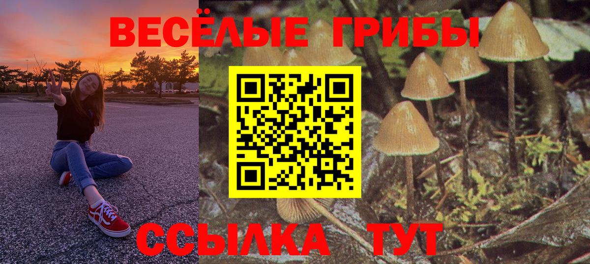 закладки  Вход с VPN  Александров  Галлюциногенные грибы мухоморы  Галлюциногенные грибы Cubensis 