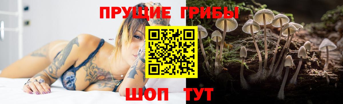 Кокаин  ГАШ  Наркошоп  Каннабис  АМФЕТАМИН   Александров  Вход с VPN  Меф МЯУ МЯУ   МДМА  NBOMe 